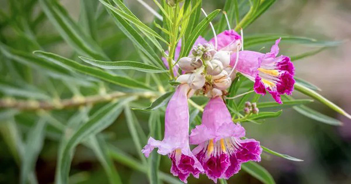 avatar1774584051992 1774584052393991173725