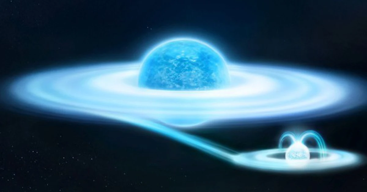 avatar1774599295779 17745992966871691546546 0 0 314 600 crop 17745993404711294427900