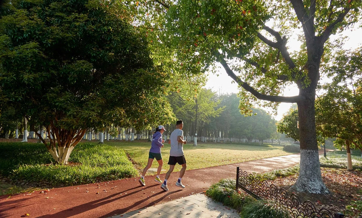 avatar1774657153605 1774657153873875956735