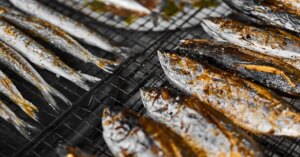 avatar1774690150558 17746901512951652429640