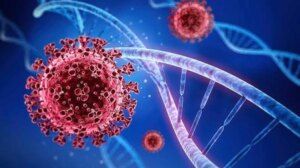 avatar1774755420802 17747554215942019410264