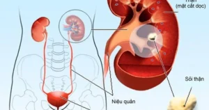 avatar1774759596453 17747595973151302879840.webp