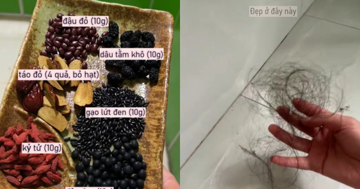 avatar1774828829576 1774828830485856433236