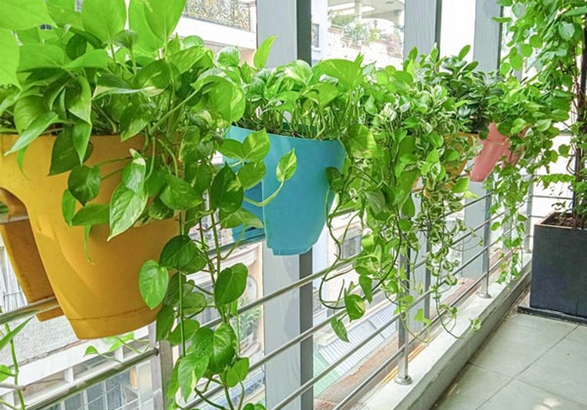 avatar1774832729907 17748327304051784262761