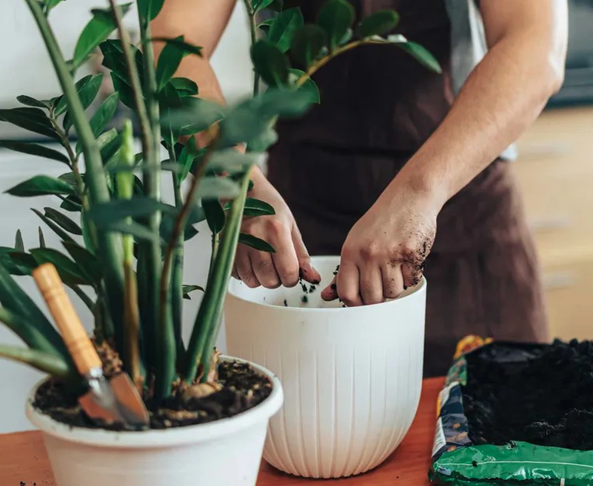 avatar1774856031558 17748560319251873898136