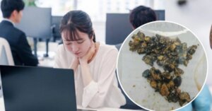 avatar1774858648935 17748586491331841207102