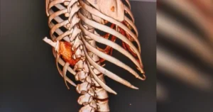 avatar1774873203688 17748732040722016741932.webp