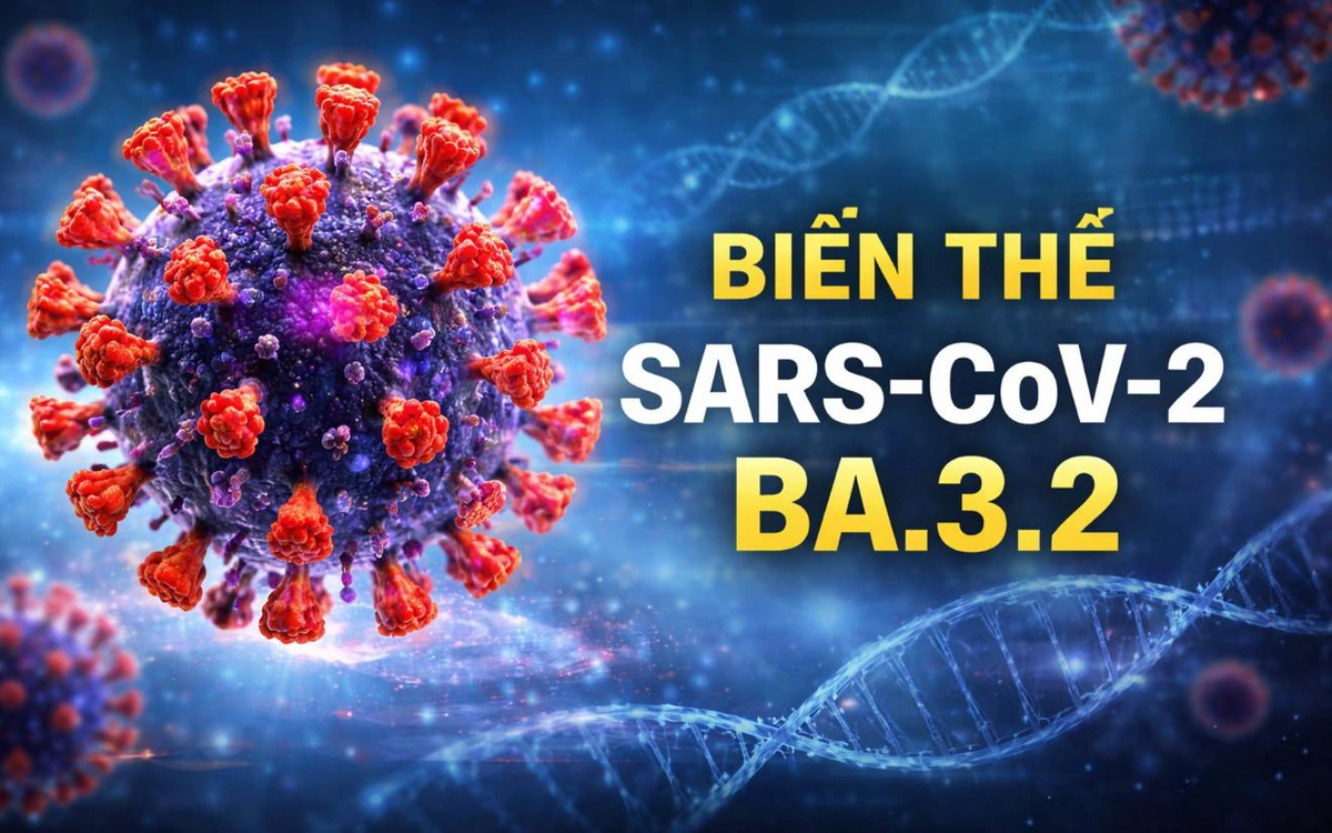 avatar1774930499256 17749304998951420533091