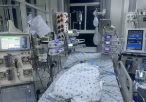 avatar1774932991351 1774932991736793932030.webp