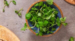 avatar1774945402807 17749454031701352602528