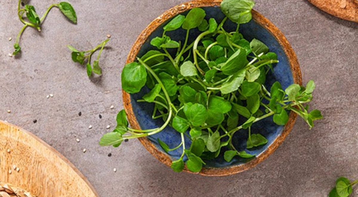 avatar1774945402807 17749454031701352602528