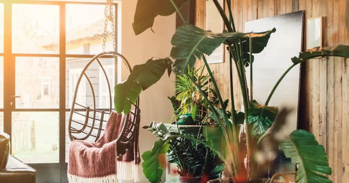 avatar1774945865473 17749458659161238953441