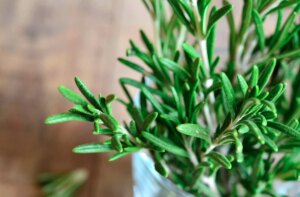 avatar1774946081403 1774946081707966449083