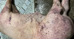 avatar1774956133165 17749561340991173299820.webp