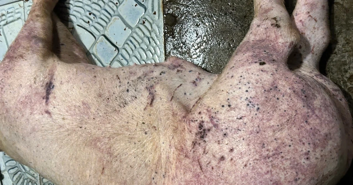 avatar1774956133165 17749561340991173299820.webp