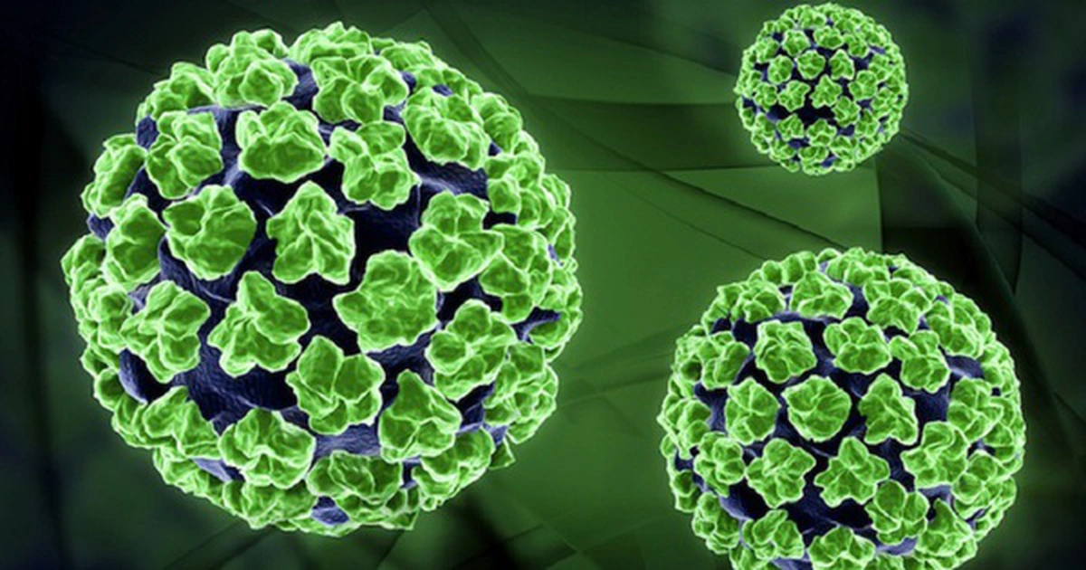 avatar1774956221728 17749562220751055538200