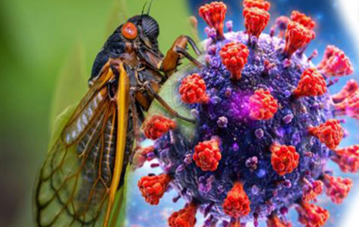 avatar1774956304286 17749563047421862533547