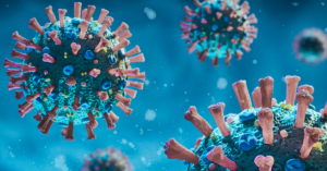 avatar1774959709152 17749597095821153857296 0 0 1047 2000 crop 17749597631511071283911