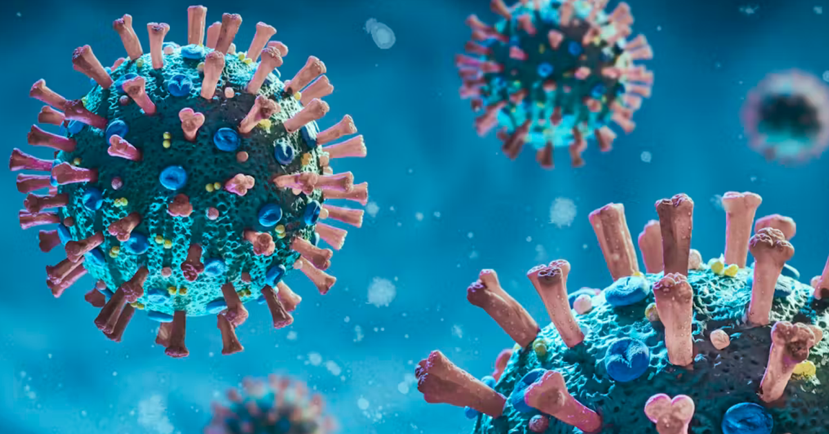 avatar1774959709152 17749597095821153857296 0 0 1047 2000 crop 17749597631511071283911