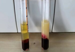 avatar1775000115496 17750001158411828875521