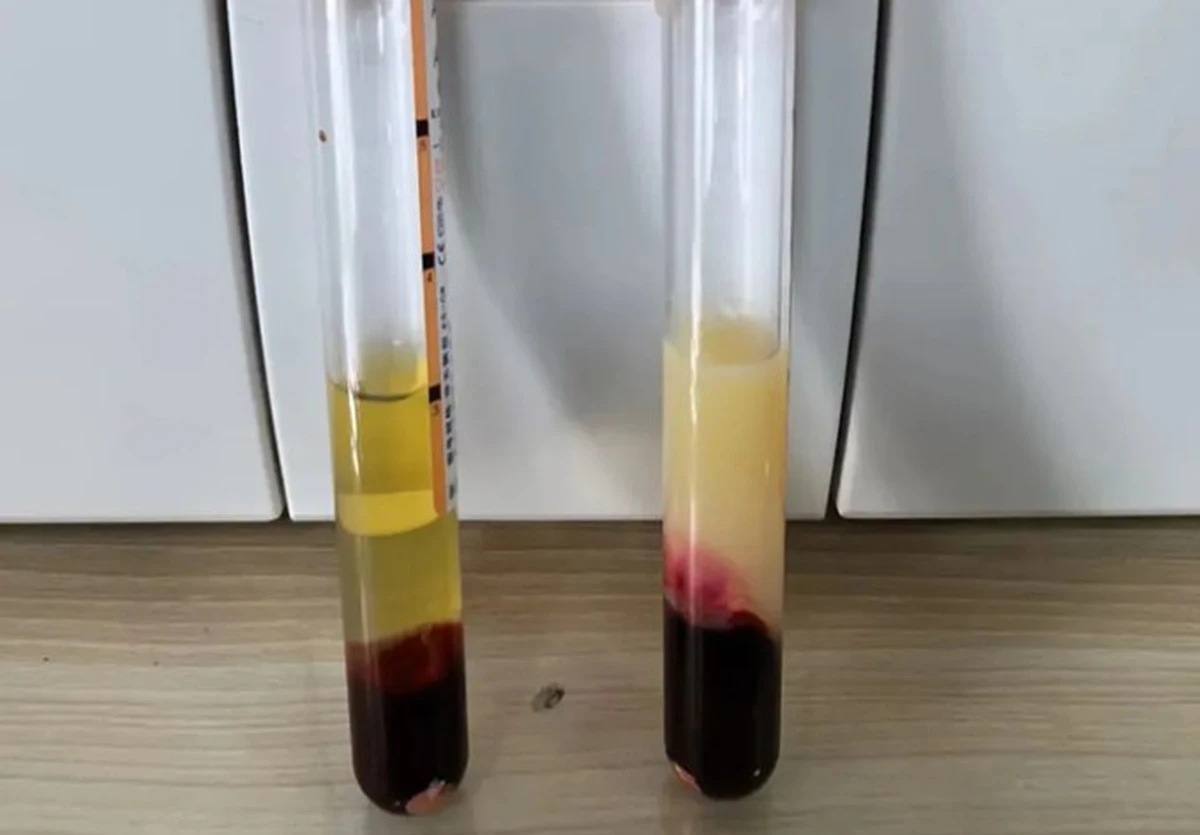 avatar1775000115496 17750001158411828875521