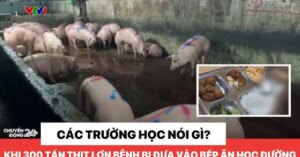 avatar1775016173284 1775016173650534249493 0 0 359 686 crop 177501622069977662082