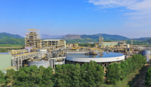 avatar1775027849832 17750278503221250174914