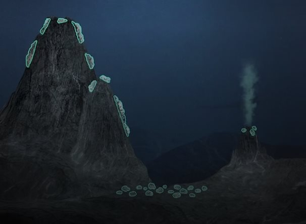 avatar1775051781228 17750517817941915324322