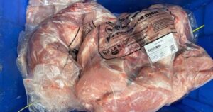 avatar1775085945438 17750859456631765076059.webp