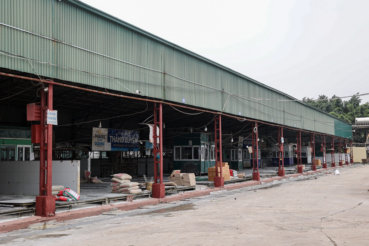 avatar1775090651776 17750906529331657169278