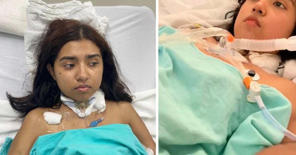 avatar1775109539008 1775109539574690243767