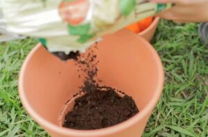 avatar1775115016515 17751150168801669403052