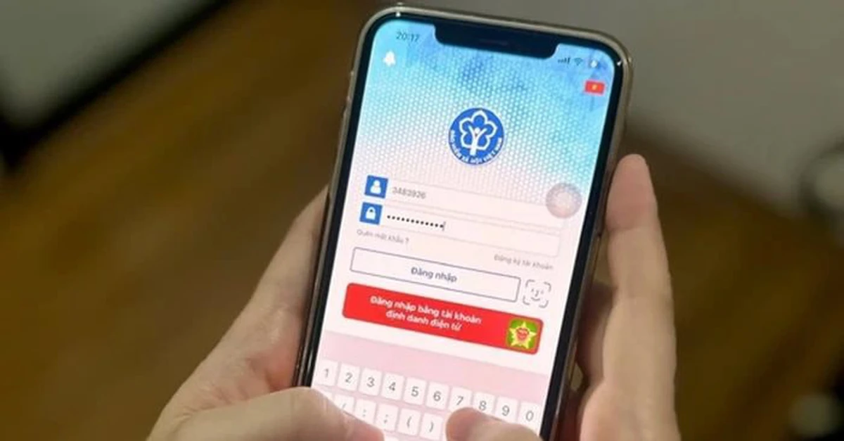 avatar1775118992185 17751189927812004218237 0 0 366 700 crop 17751190110801574246371