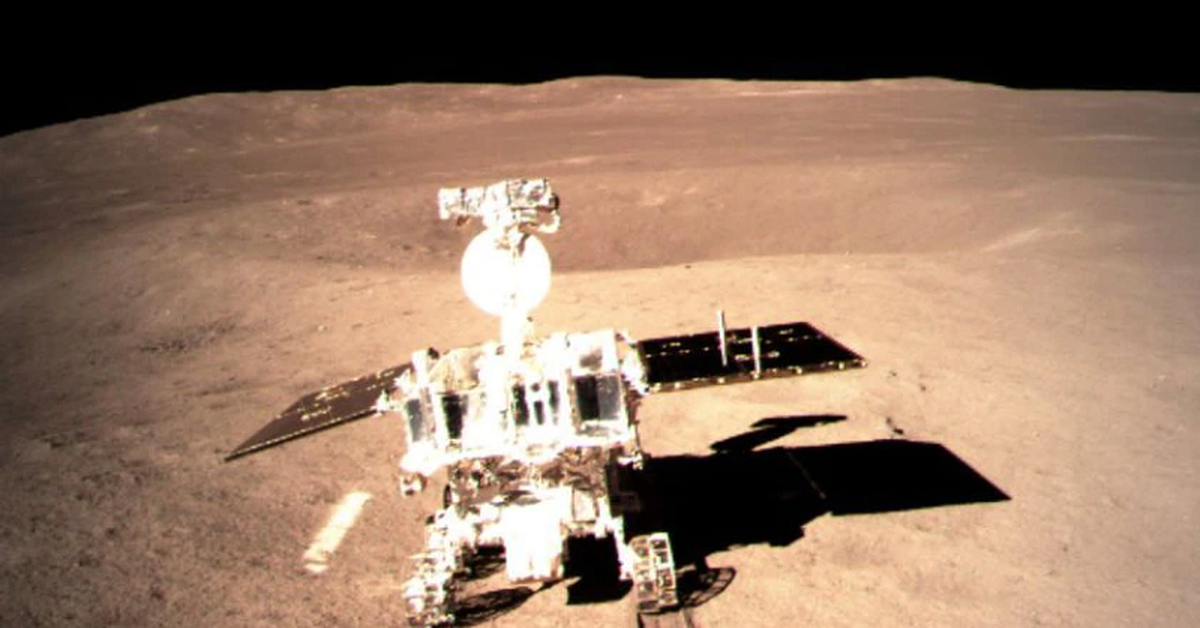 avatar1775119053189 17751190535821037852286 0 0 419 800 crop 1775119078263890354801