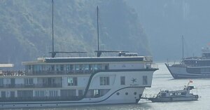 avatar1775119131644 177511913432854995881 0 0 629 1200 crop 17751191626501465666461