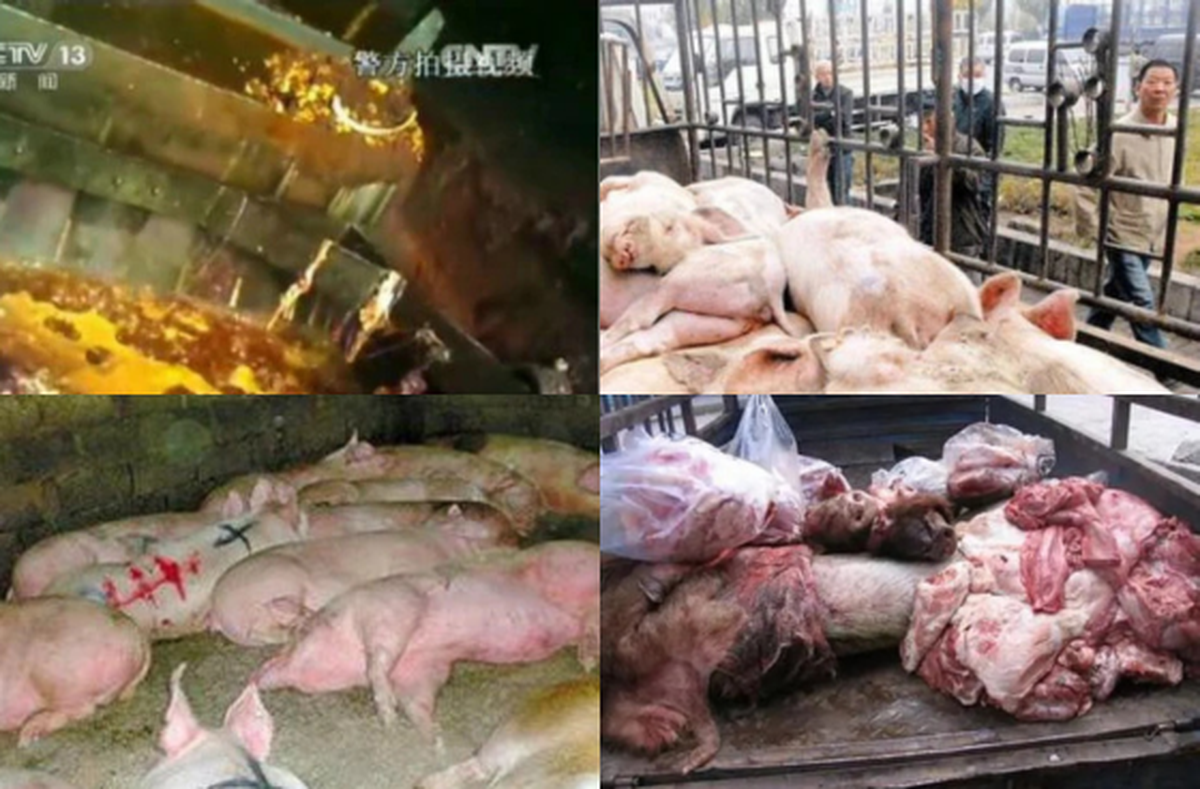 avatar1775138402437 17751384029261130015579