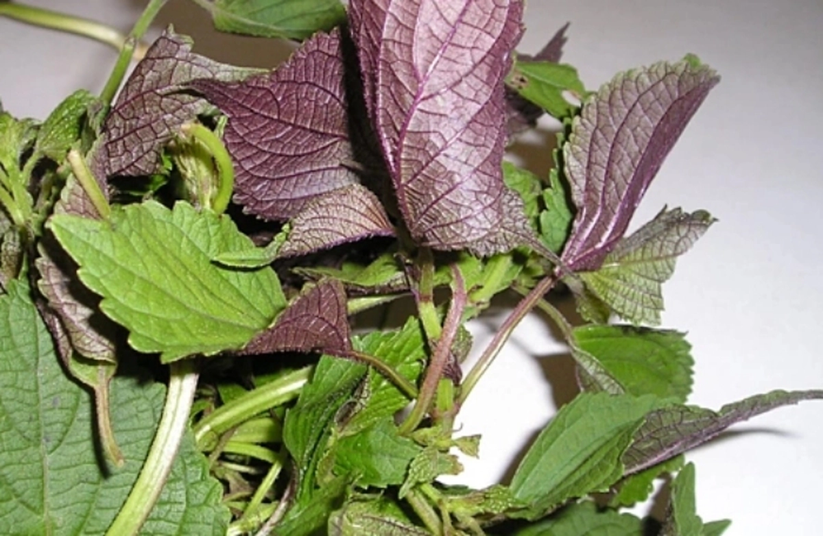 avatar1775184740315 1775184740787857908792