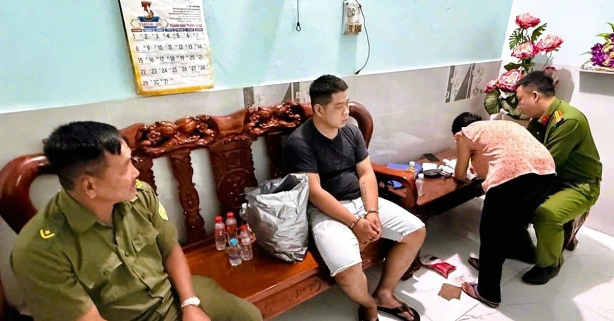 avatar1775200319955 17752003202582022651013 0 0 528 1009 crop 17752003474691739178194