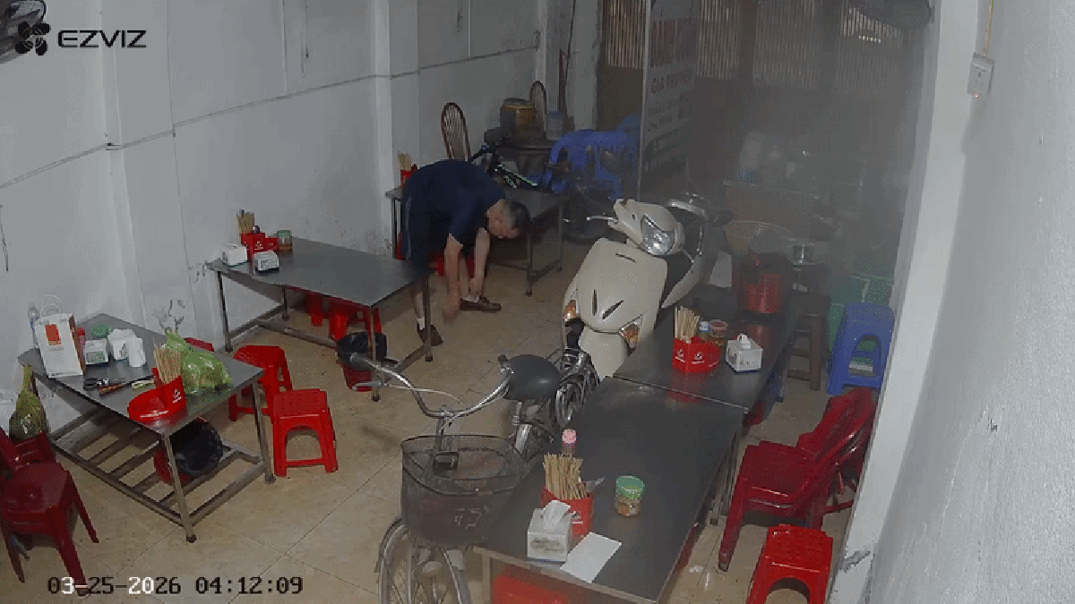 avatar1775200602853 1775200603520185929690.gif