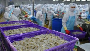 avatar1775232754861 1775232755408260122336