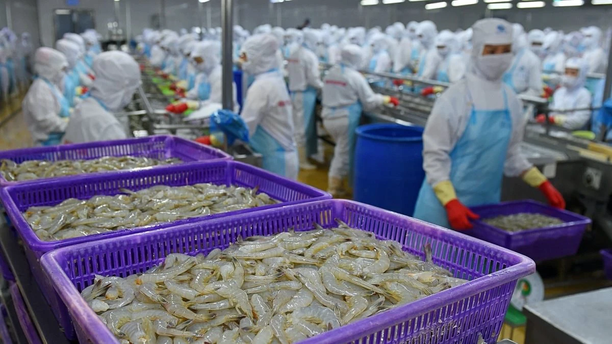 avatar1775232754861 1775232755408260122336