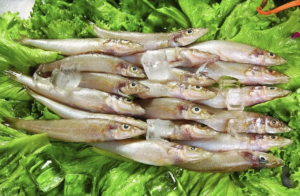 avatar1775267073309 177526707355976908267