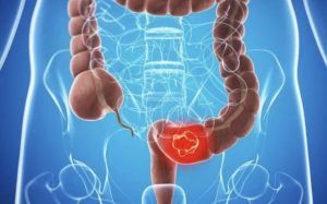 avatar1775272529332 17752725295871520401031