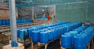 avatar1775294032753 17752940334201133041025