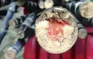 avatar1775301201756 17753012023671346628822