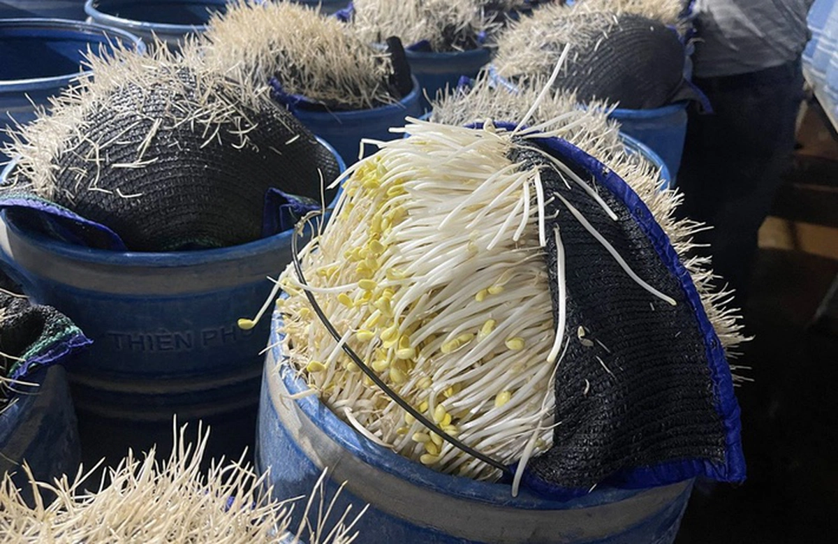 avatar1775357345101 1775357346214704471566