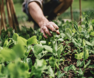 avatar1775366467230 17753664679451609090452