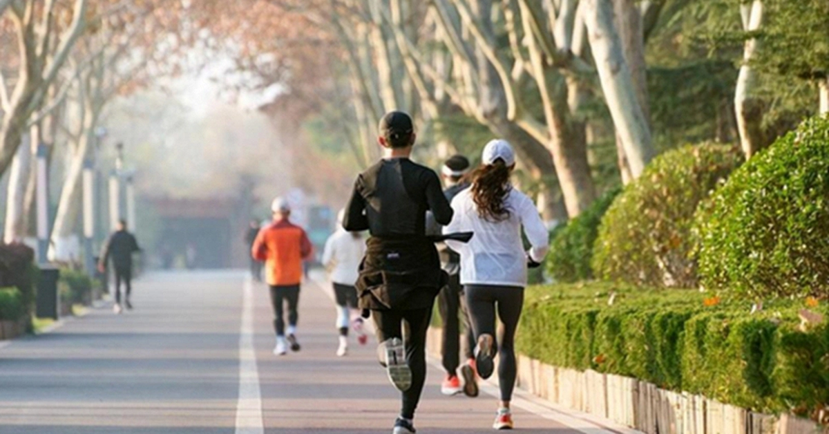 avatar1775431258472 1775431258830362320335