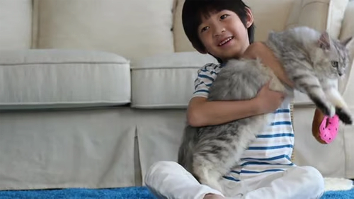 avatar1775561280342 17755612807861142988158