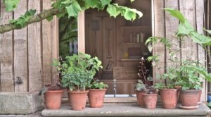 avatar1775621715184 17756217162161669536673